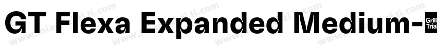 GT Flexa Expanded Medium字体转换